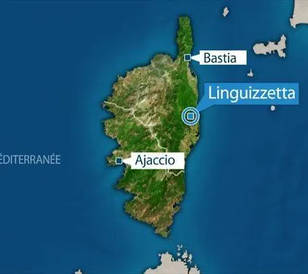 Doalchaleda Linguizzetta